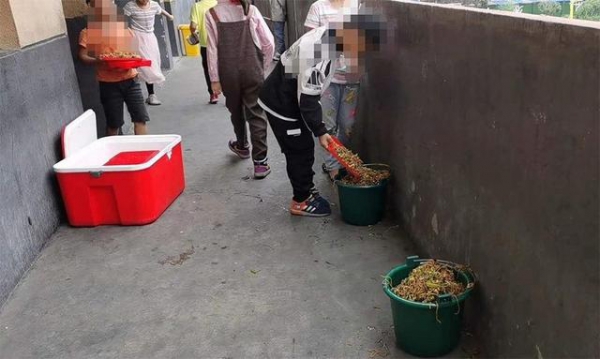 贵州营养餐“溢出垃圾桶”，问题到底出在哪儿？